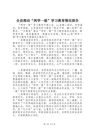 全县推动两学一做学习教育情况报告