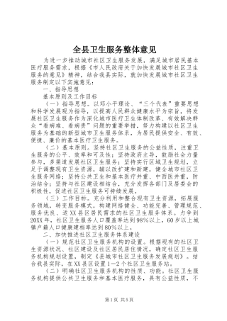 全县卫生服务整体意见