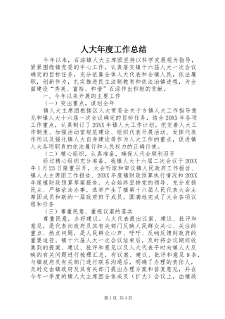 人大年度工作总结