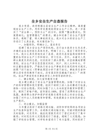 全乡安全生产自查报告