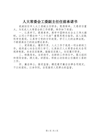 人大常委会工委副主任任前承诺书