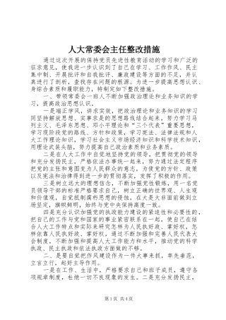 人大常委会主任整改措施