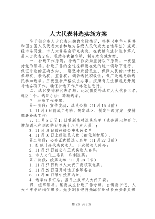 人大代表补选实施方案