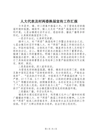 人大代表及村两委换届宣传工作汇报