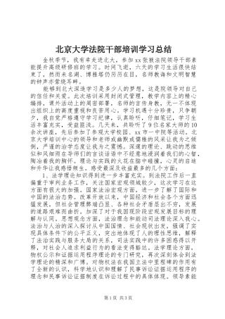 北京大学法院干部培训学习总结