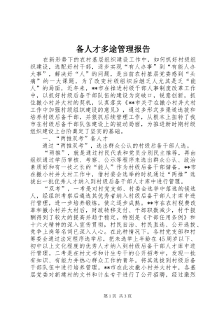 备人才多途管理报告