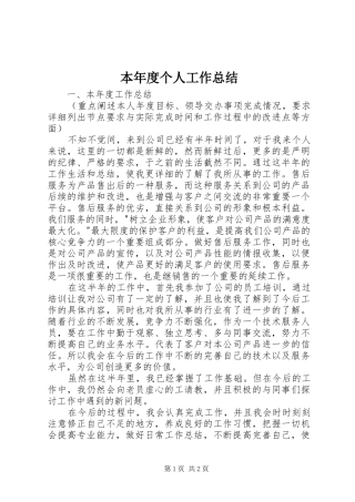 本年度个人工作总结