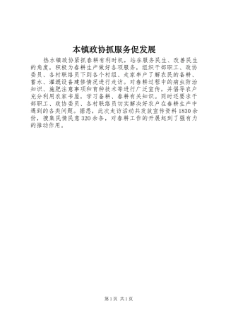 本镇政协抓服务促发展