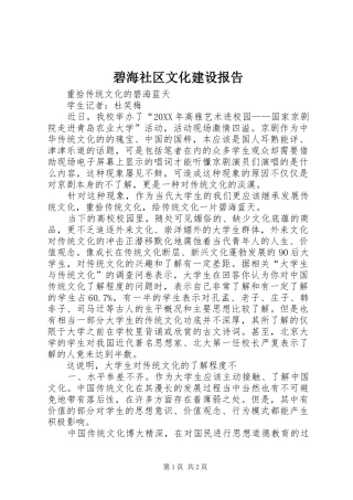 碧海社区文化建设报告