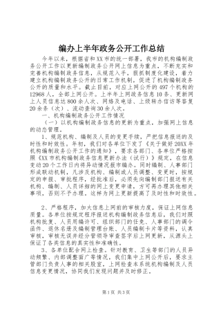 编办上半年政务公开工作总结