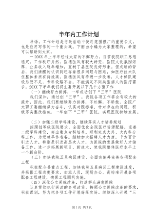 半年内工作计划