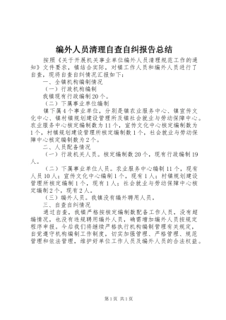 编外人员清理自查自纠报告总结