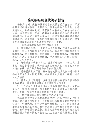 编制实名制现状调研报告