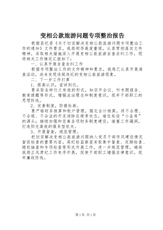 变相公款旅游问题专项整治报告