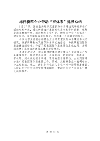 标杆模范企业带动双体系建设总结