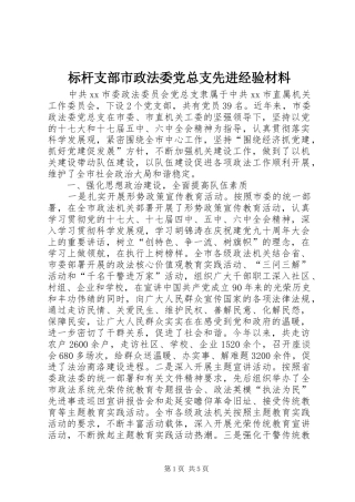 标杆支部市政法委党总支先进经验材料
