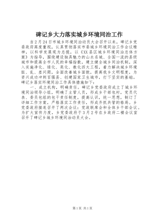 碑记乡大力落实城乡环境同治工作