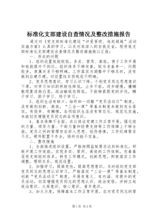 标准化支部建设自查情况及整改措施报告