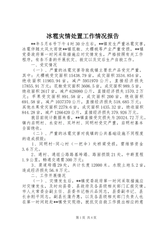 冰雹灾情处置工作情况报告