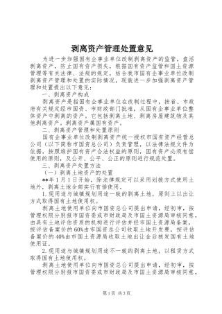 剥离资产管理处置意见