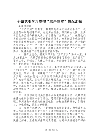 全镇党委学习贯彻三严三实情况汇报