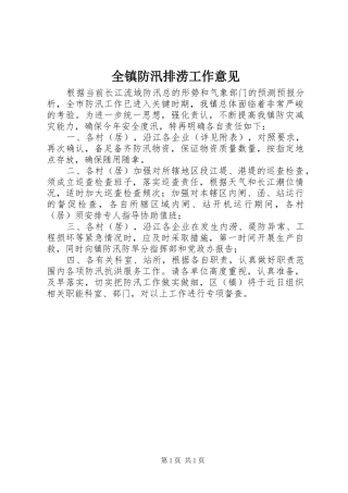 全镇防汛排涝工作意见