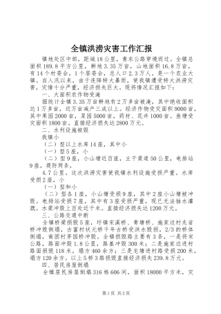 全镇洪涝灾害工作汇报