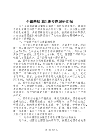 全镇基层团组织专题调研汇报