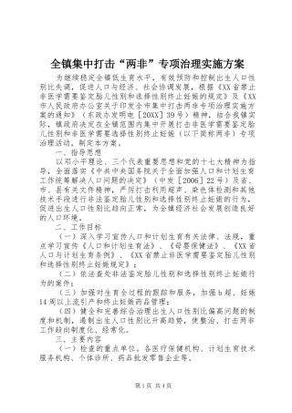 全镇集中打击两非专项治理实施方案