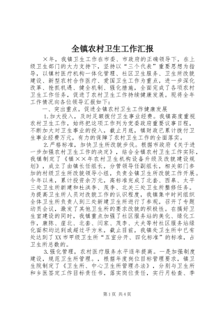 全镇农村卫生工作汇报