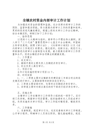 全镇农村资金内部审计工作计划