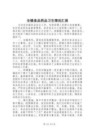 全镇食品药品卫生情况汇报