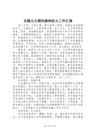全镇元旦期间森林防火工作汇报