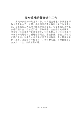 泉水镇推动督查计生工作