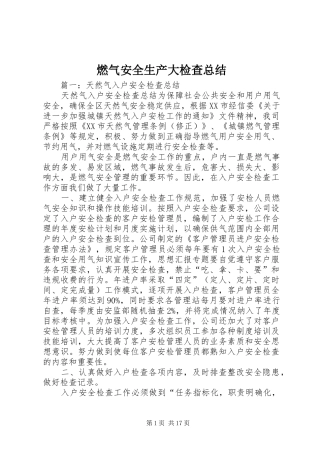 燃气安全生产大检查总结