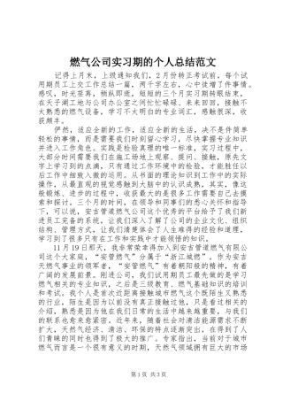 燃气公司实习期的个人总结范文