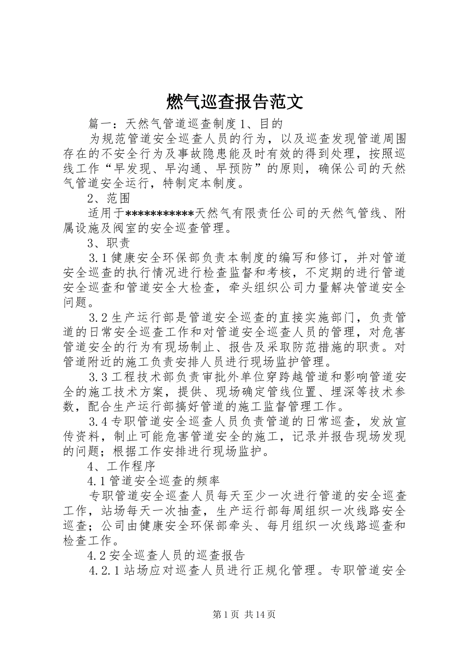 燃气巡查报告范文_第1页