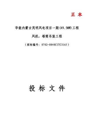 华能风电投标文件