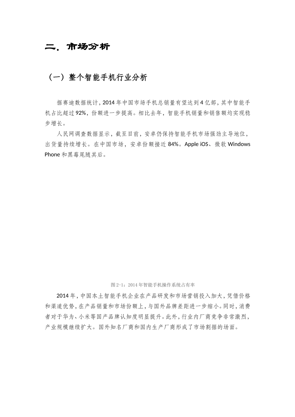 华为手机营销策划书_第3页