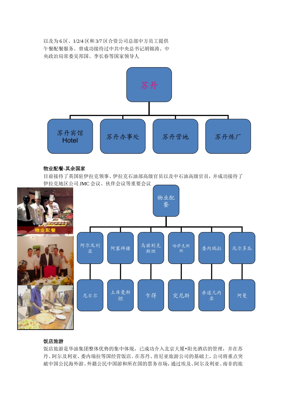 华油集团项目_第2页