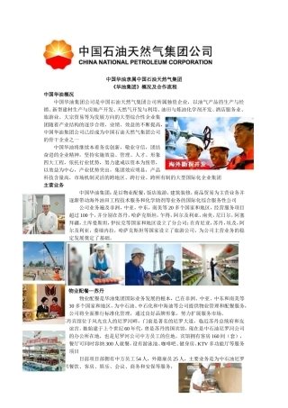 华油集团项目