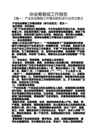 协会筹备组工作报告