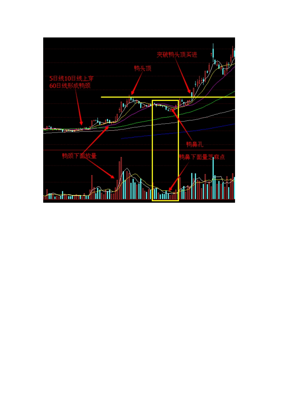 千金难买老鸭头_第2页