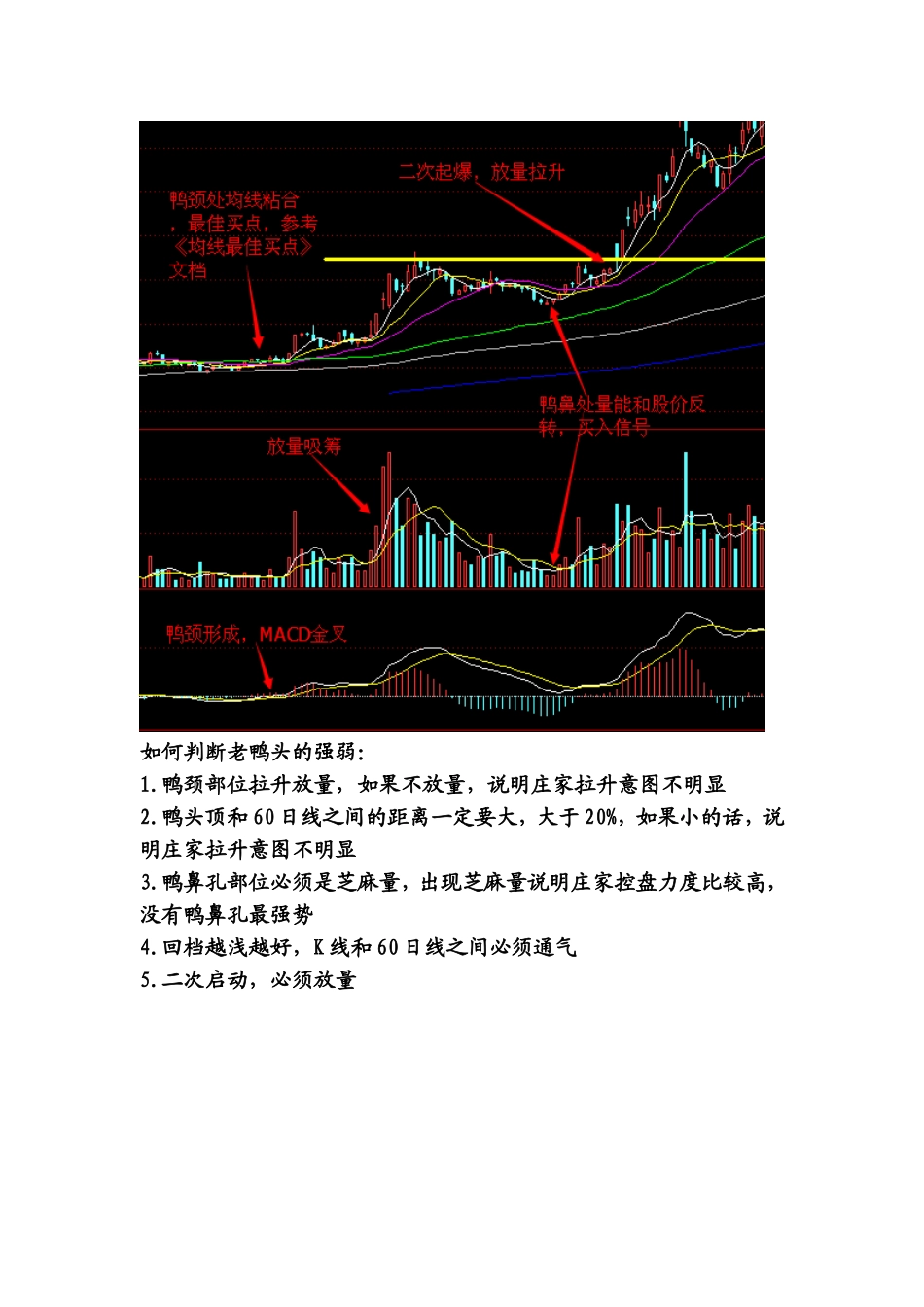 千金难买老鸭头_第3页