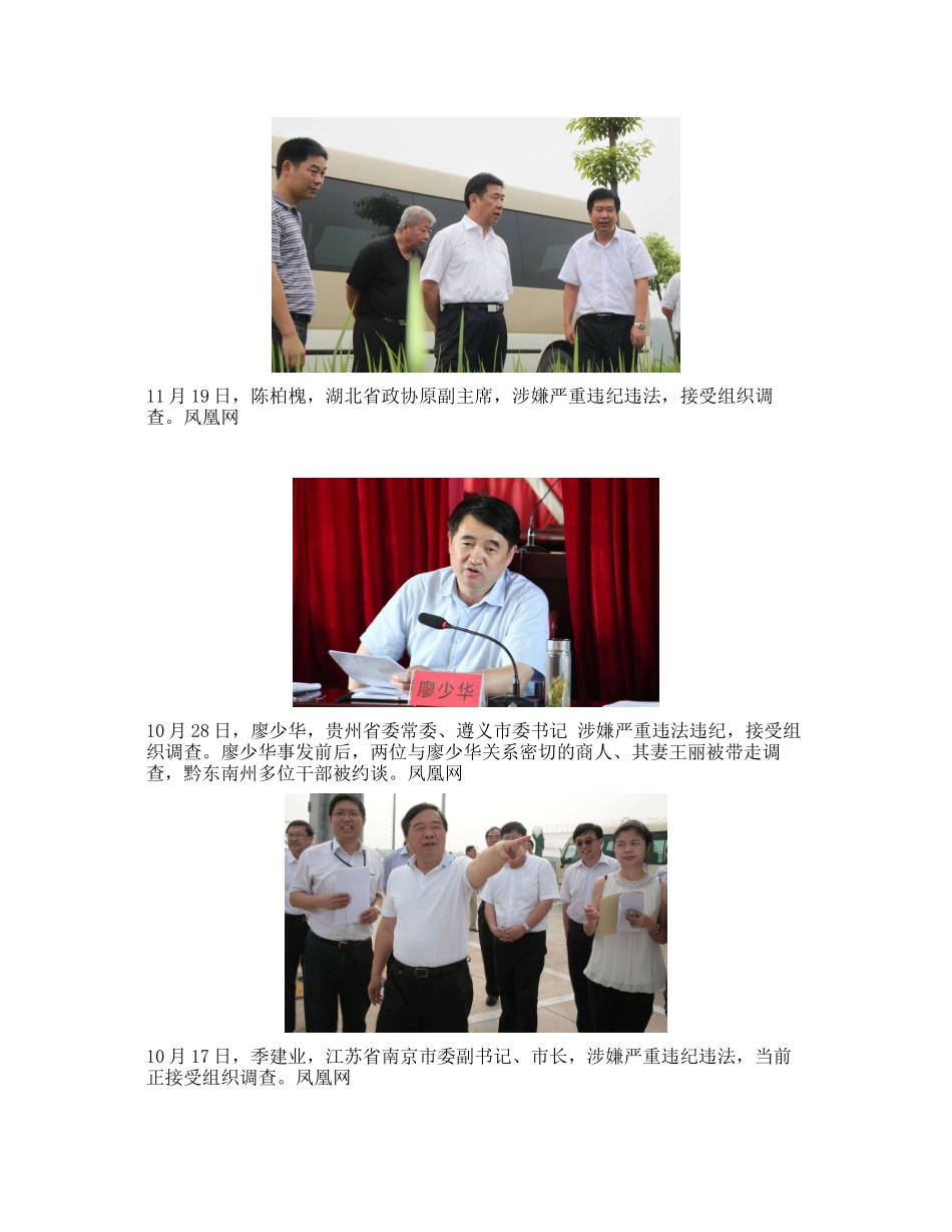 十八大来16位省部级落马_第3页