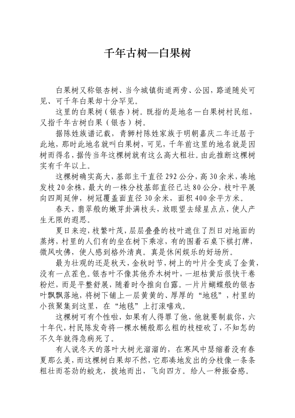 千年古树—白果树_第1页