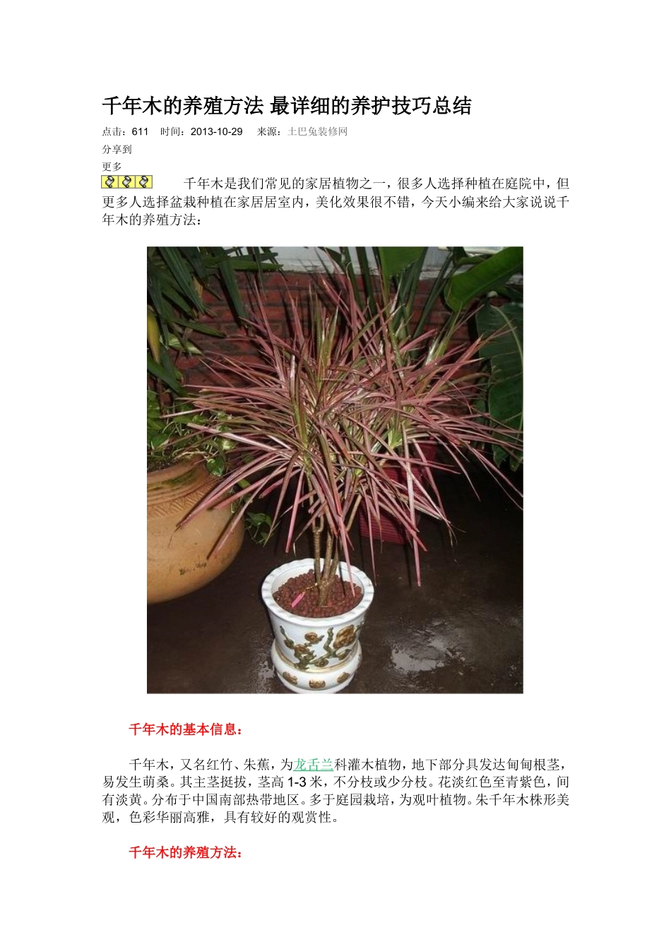 千年木的养殖方法-最详细的养护技巧总结_第1页