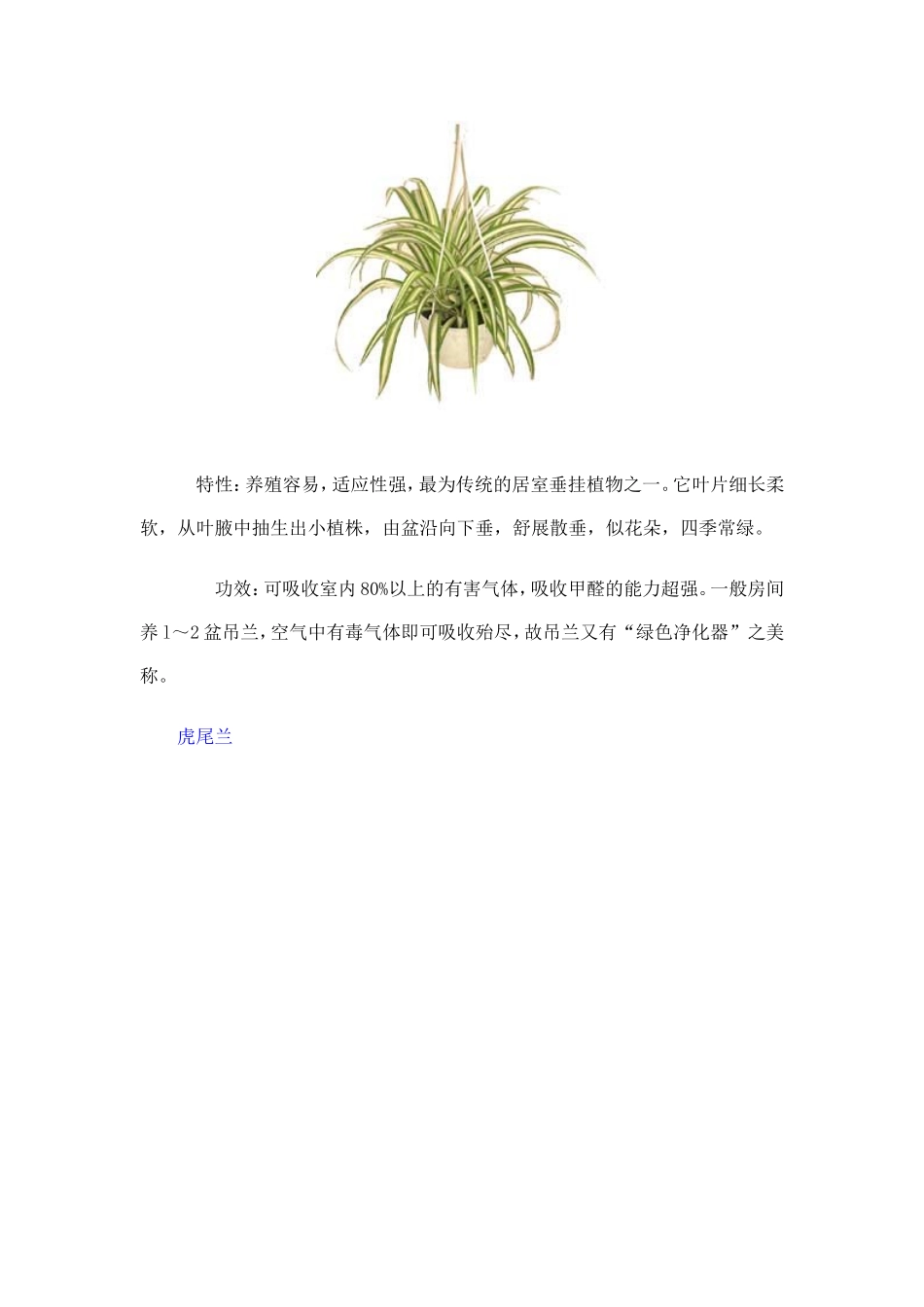 十大除甲醛花草_第2页