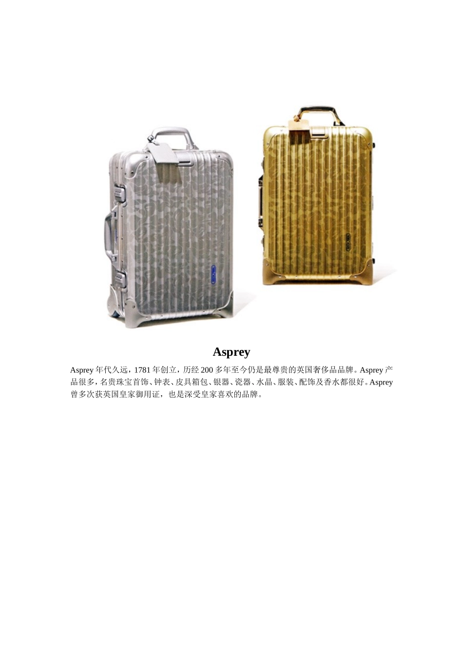 十大复古拉杆箱旅行箱品牌介绍_第3页