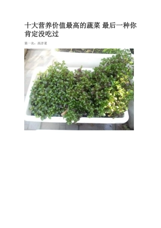十大营养价值最高的蔬菜-最后一种你肯定没吃过